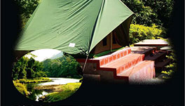 Thekkady Homestay-Jungle-Camp