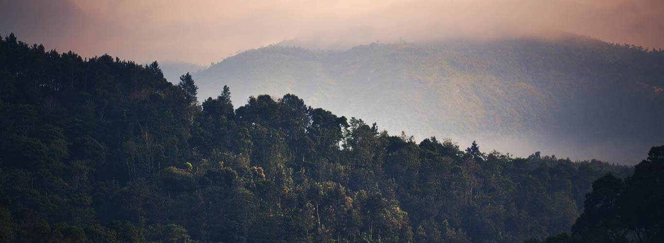 Thekkady Homestay Kerala - Silder