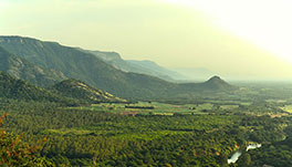 Thekkady Homestay-Homestay-Pic1