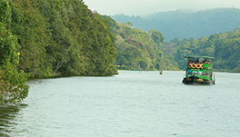 Thekkady Homestay-Lake View1