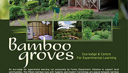 Thekkady Homestay-Bamboo-Grove